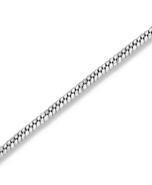Round Snake Silver Chain