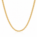 Double Mesh Gold Chain