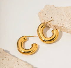 Parisa Hoops