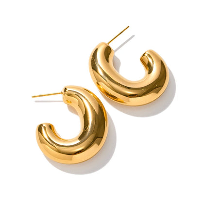 Parisa Hoops